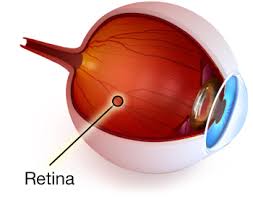 retina mata