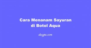 cara menanam sayuran di botol aqua