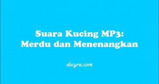 suara kucing mp3