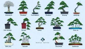 https://berita.99.co/gaya-bonsai-paling-unik/