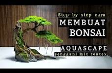 Bonsai Aquascape